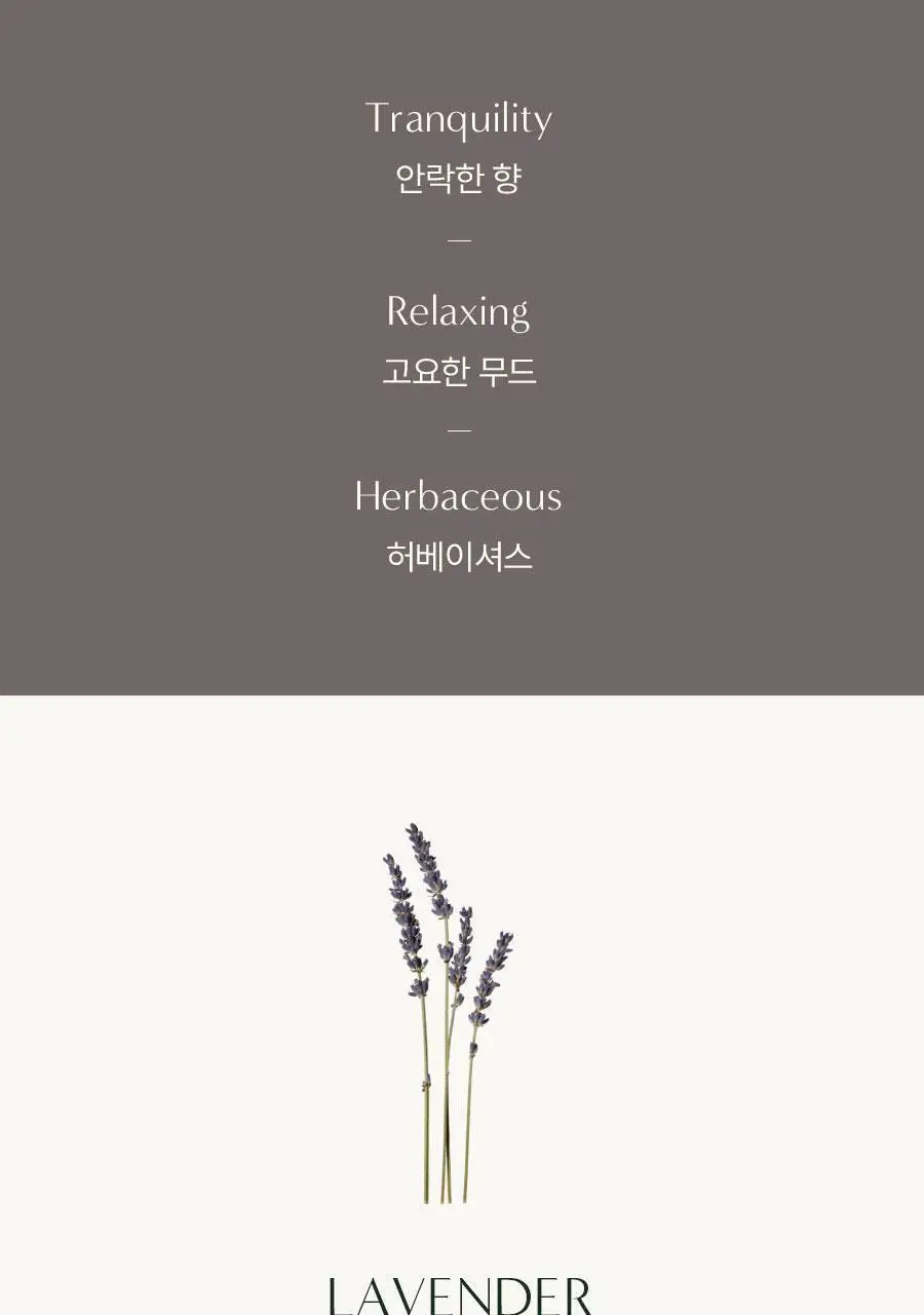 [NEW/대용량] 아로마티카 바디워시 500ml 2종 중 택 1 (서렌/로즈마리 올인원) 상세페이지 3